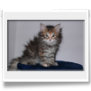Anouk 2 mesi