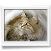 Anouk 2 anni