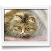 Anouk 2 anni